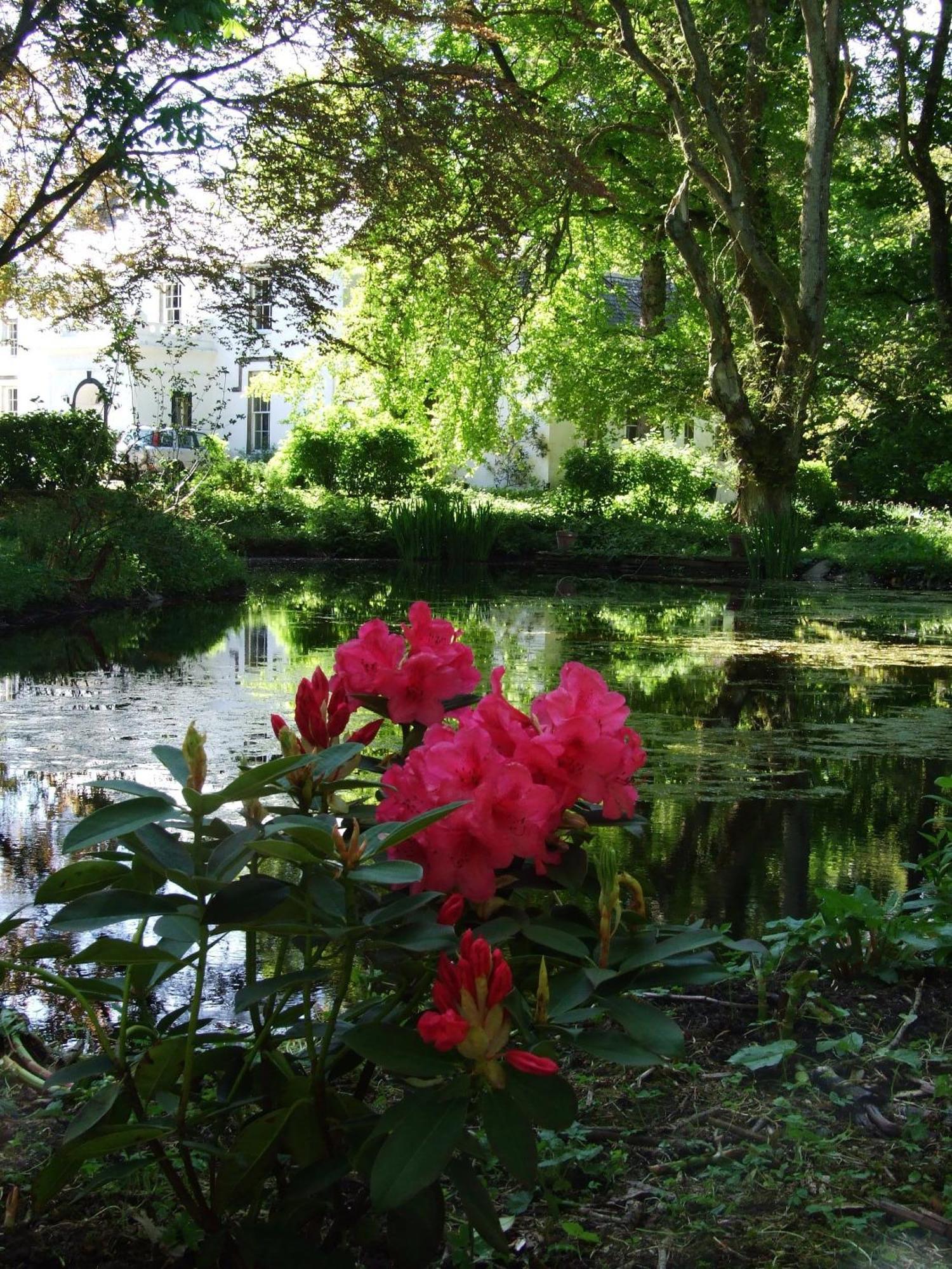 Thrumster House Wick  Dış mekan fotoğraf